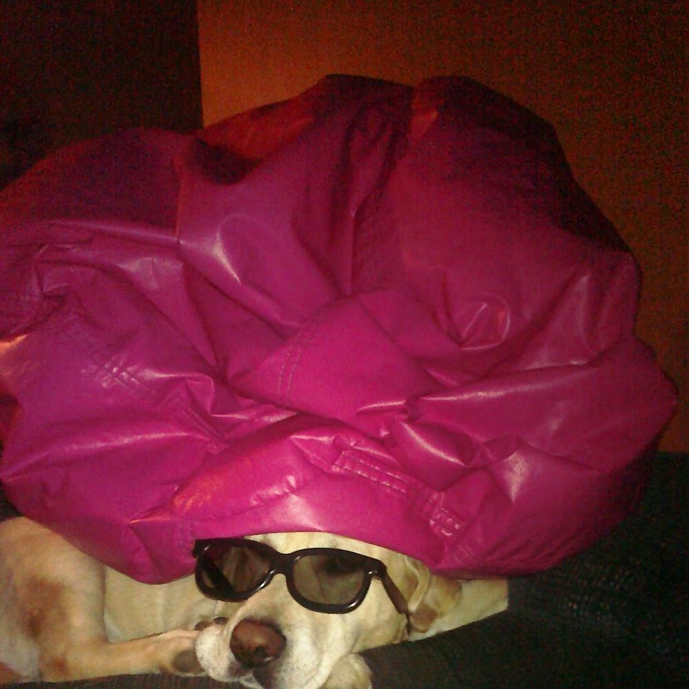 Meet your Posher, Lisa